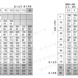 BMH系列并列油口星空手机在线登陆入口-星空(中国)
马达